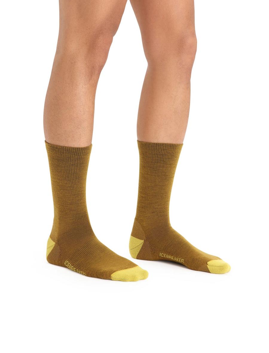 Chaussettes Icebreaker Merino Lifestyle Light Crew Homme Doré | FR 1047OKIR